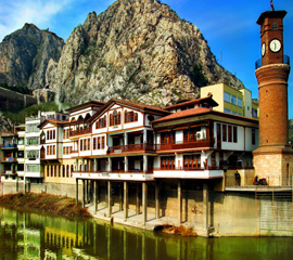 Amasya Bitkisel Ürünler