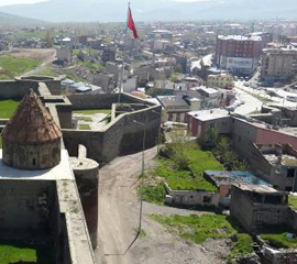 Erzurum Bitkisel Ürünler