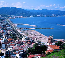 Giresun Bitkisel Ürünler